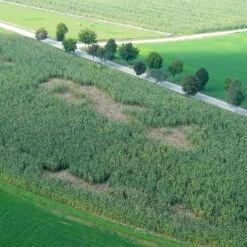 50m Wildabwehr Netz, Wildschweinnetz, Blau -Optimal Ranchzaun Geschäft 27239 5 Weidenetze Wildabwehrnetz Wildnet Wildabwehr