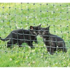 25m Elektronetz 110cm, Hundenetz, Katzennetz Zur Gartensicherung 16 25m Elektronetz 110cm, Hundenetz, Katzennetz Zur Gartensicherung -Optimal Ranchzaun Geschäft 27300 5