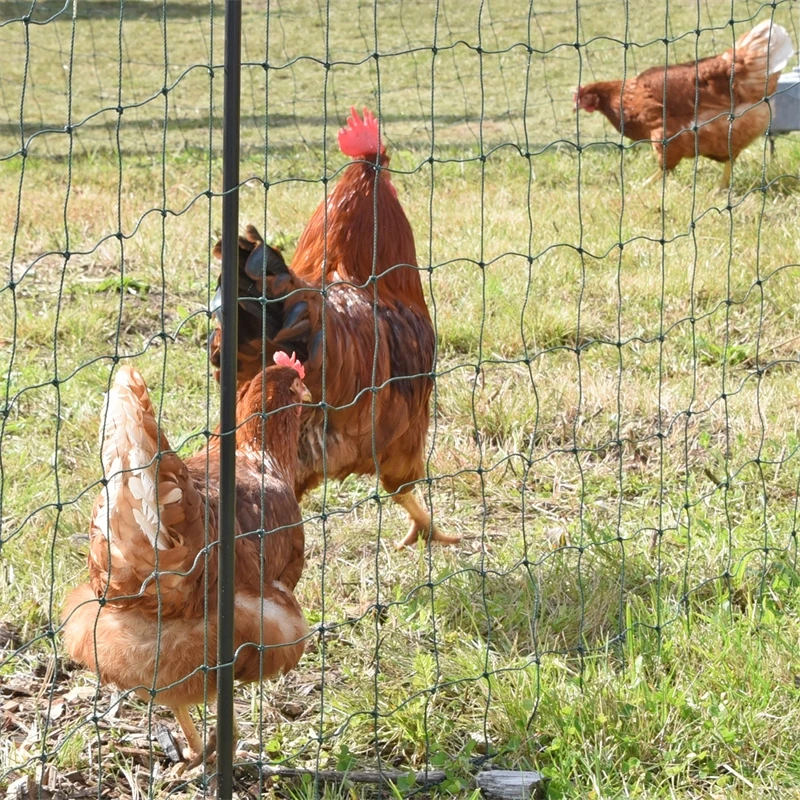 VOSS.farming FarmNET 25m Hütenetz, 135cm, 9 Pfähle, 2 Spitzen, Grün, Ohne Strom 14 VOSS.farming FarmNET 25m Hütenetz, 135cm, 9 Pfähle, 2 Spitzen, Grün, Ohne Strom – Bild 12