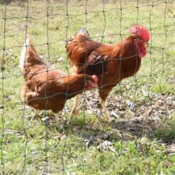 VOSS.farming FarmNET 50m Hütenetz, 135cm, 16 Pfähle, 2 Spitzen, Grün, Ohne Strom 26 VOSS.farming FarmNET 50m Hütenetz, 135cm, 16 Pfähle, 2 Spitzen, Grün, Ohne Strom -Optimal Ranchzaun Geschäft 27775 voss farming extra hohes gefluegelnetz huehnernetz 135cm nicht elektrifizierbar