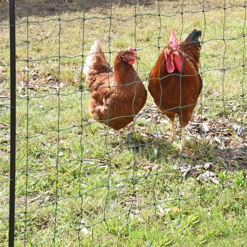 VOSS.farming FarmNET 25m Hütenetz, 135cm, 9 Pfähle, 2 Spitzen, Grün, Ohne Strom 13 VOSS.farming FarmNET 25m Hütenetz, 135cm, 9 Pfähle, 2 Spitzen, Grün, Ohne Strom – Bild 11