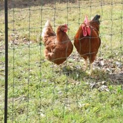 VOSS.farming FarmNET 50m Hütenetz, 135cm, 16 Pfähle, 2 Spitzen, Grün, Ohne Strom 28 VOSS.farming FarmNET 50m Hütenetz, 135cm, 16 Pfähle, 2 Spitzen, Grün, Ohne Strom -Optimal Ranchzaun Geschäft 27775 voss farming extra hohes huehnernetz 135cm ohne strom