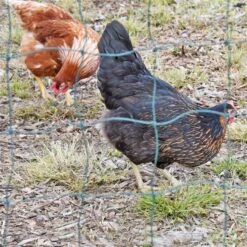 VOSS.farming FarmNET 50m Hütenetz, 135cm, 16 Pfähle, 2 Spitzen, Grün, Ohne Strom 27 VOSS.farming FarmNET 50m Hütenetz, 135cm, 16 Pfähle, 2 Spitzen, Grün, Ohne Strom -Optimal Ranchzaun Geschäft 27775 voss farming gefluegelnetz einfach und sicher in der anwendung