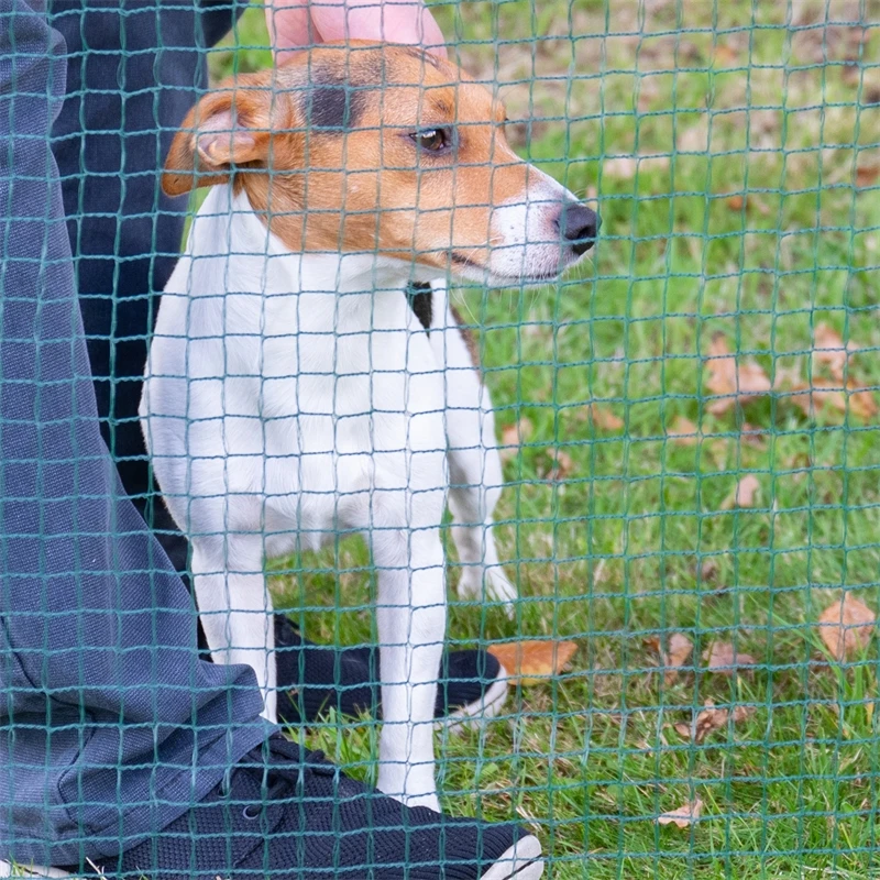 VOSS.farming Classic 25m, Begrenzungszaun, Schutznetz, 90cm, 15 Pfähle, 1 Spitze, Grün, Ohne Strom 11 VOSS.farming Classic 25m, Begrenzungszaun, Schutznetz, 90cm, 15 Pfähle, 1 Spitze, Grün, Ohne Strom – Bild 9