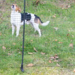 VOSS.farming Classic 25m, Begrenzungszaun, Schutznetz, 90cm, 15 Pfähle, 1 Spitze, Grün, Ohne Strom 34 VOSS.farming Classic 25m, Begrenzungszaun, Schutznetz, 90cm, 15 Pfähle, 1 Spitze, Grün, Ohne Strom -Optimal Ranchzaun Geschäft 27817 voss farming classic begrenzungszaun schutznetz 90cm 25m ohne strom