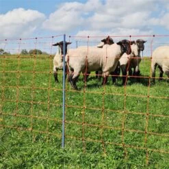 AKO OviNet Premium 50m Schafnetz, Schafzaun, 90cm, 14 Verstärkte Pfähle, 1 Spitze, Orange 24 AKO OviNet Premium 50m Schafnetz, Schafzaun, 90cm, 14 Verstärkte Pfähle, 1 Spitze, Orange -Optimal Ranchzaun Geschäft 29110 10 hueten sie ihre schafe laemmer und weitere tiere sicher mit unseren netzen
