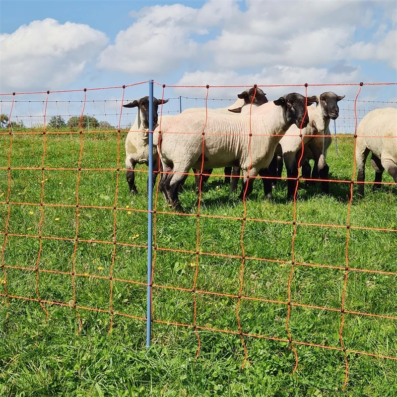 AKO OviNet Premium 50m Schafnetz, Schafzaun, 90cm, 14 Verstärkte Pfähle, 2 Spitzen, Orange 11 AKO OviNet Premium 50m Schafnetz, Schafzaun, 90cm, 14 Verstärkte Pfähle, 2 Spitzen, Orange – Bild 9