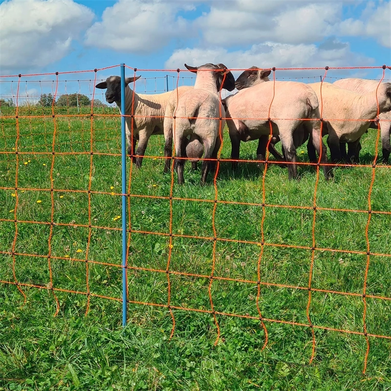 AKO OviNet Premium 50m Schafnetz, Schafzaun, 90cm, 14 Verstärkte Pfähle, 2 Spitzen, Orange 12 AKO OviNet Premium 50m Schafnetz, Schafzaun, 90cm, 14 Verstärkte Pfähle, 2 Spitzen, Orange – Bild 10
