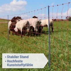 AKO OviNet Premium 50m Schafnetz, Schafzaun, 108cm, 14 Verstärkte Pfähle, 2 Spitzen, Orange 18 AKO OviNet Premium 50m Schafnetz, Schafzaun, 108cm, 14 Verstärkte Pfähle, 2 Spitzen, Orange -Optimal Ranchzaun Geschäft 29112 04 ovinet erhoehte huetesicherheit patentierte premium pfaehle