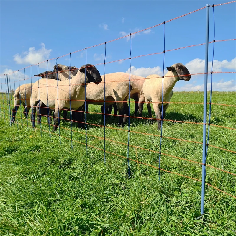 AKO TitanNet Premium 50m Schafnetz, 90cm, 14 Verst. Pfähle, 1 Spitze, Starre Streben, Blau-orange 14 AKO TitanNet Premium 50m Schafnetz, 90cm, 14 Verst. Pfähle, 1 Spitze, Starre Streben, Blau-orange – Bild 12