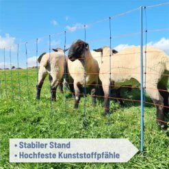 AKO TitanNet Premium 50m Schafnetz, 108cm, 14 Verst. Pfähle, 2 Spitzen, Starre Streben, Blau-orange 18 AKO TitanNet Premium 50m Schafnetz, 108cm, 14 Verst. Pfähle, 2 Spitzen, Starre Streben, Blau-orange -Optimal Ranchzaun Geschäft 29117 04 starre streben fuer eine verbesserte standfaehigkeit