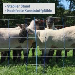 AKO TitanNet Premium Plus 50m Schafnetz 90cm, 14 Verst. Pfähle, 2 Spitz, Starre Streben, Blau-weiß -Optimal Ranchzaun Geschäft 29120 04 starre streben unterstuetzen fuer eine verbesserte standfestigkeit