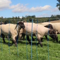 AKO TitanNet Premium Plus 50m Schafnetz 108cm, 14 Verst. Pfähle, 2 Spitz, Starre Streben, Blau-weiß -Optimal Ranchzaun Geschäft 29121 13 hochwertige schafnetze finden sie in unserem sortiment