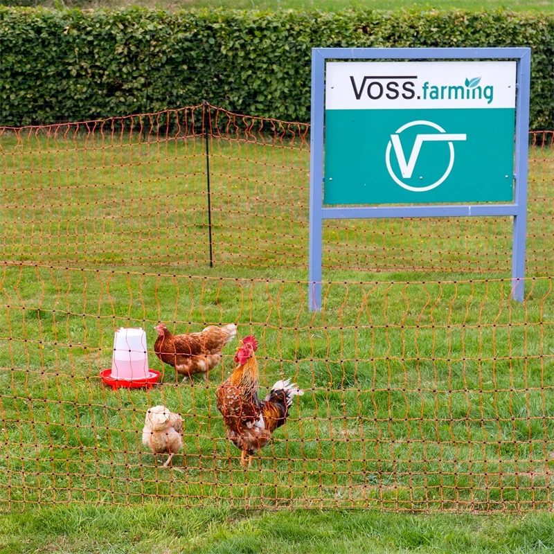 VOSS.farming FarmNET+ 50m Hühnernetz, Geflügelnetz, 112cm, 20 Pfähle, 2 Spitzen, Orange 19 VOSS.farming FarmNET+ 50m Hühnernetz, Geflügelnetz, 112cm, 20 Pfähle, 2 Spitzen, Orange – Bild 17