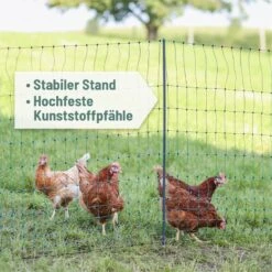 AKO PoultryNet Premium 25m Geflügelnetz, 106cm, 8 Verstärkte Pfähle, 2 Spitzen, Grün, Ohne Strom -Optimal Ranchzaun Geschäft 29642 04 die verstaerkten premium pfaehle patentiert fuer mehr standfestigkeit