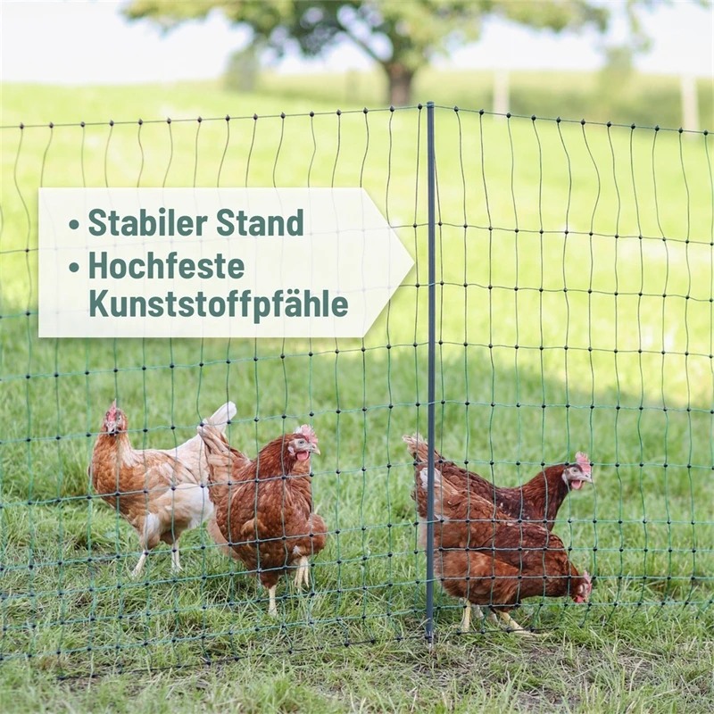 AKO PoultryNet Premium 50m Hühnerzaun, Geflügelnetz, 122cm, 15 Verstärkte Pfähle, 2 Spitzen, Grün 5 AKO PoultryNet Premium 50m Hühnerzaun, Geflügelnetz, 122cm, 15 Verstärkte Pfähle, 2 Spitzen, Grün – Bild 3
