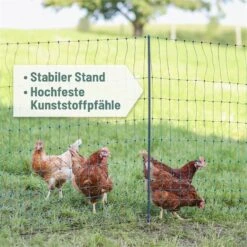 AKO PoultryNet Premium 50m Geflügelnetz, 122cm, 15 Verstärkte Pfähle, 2 Spitzen, Grün, Ohne Strom -Optimal Ranchzaun Geschäft 29674 04 inklusive 15x verstaerkte premium pfaehle fuer mehr standfestigkeit