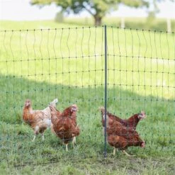 AKO PoultryNet Premium 50m Geflügelnetz, 122cm, 15 Verstärkte Pfähle, 2 Spitzen, Grün, Ohne Strom -Optimal Ranchzaun Geschäft 29674 14 netz ohne strom sehr vielseitig einsetzbar