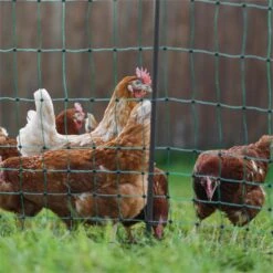 AKO PoultryNet Premium 50m Geflügelnetz, 122cm, 15 Verstärkte Pfähle, 2 Spitzen, Grün, Ohne Strom -Optimal Ranchzaun Geschäft 29674 15 ein sehr leichter aufbau und abbau kein werkzeug noetig