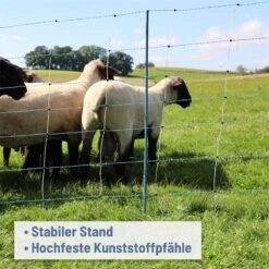 AKO TitanNet Premium Vario 50m Schafnetz, Wolfsabwehr, 122cm, 14 Verst. Pfähle, 2 Spitz, Weiß-blau -Optimal Ranchzaun Geschäft 30010 03 titannet mit 14x verstaerkten pfaehlen doppelbodenspitze