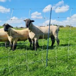 AKO TitanNet Premium Vario 50m Schafnetz, Wolfsabwehr, 122cm, 14 Verst. Pfähle, 2 Spitz, Weiß-blau -Optimal Ranchzaun Geschäft 30010 10 sicher und abschreckend auch bei trockenen boeden