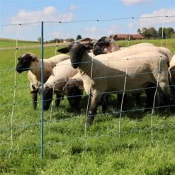 AKO TitanNet Premium Vario 50m Schafnetz, Wolfsabwehr, 122cm, 14 Verst. Pfähle, 2 Spitz, Weiß-blau -Optimal Ranchzaun Geschäft 30010 13 blau weiC39F fuer bessere sichtbarkeit sehr gut zur abwehr gegen wild