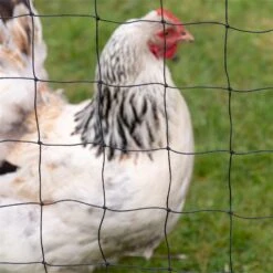 Geflügel-Schutznetz, Teich-Netz, Volieren Netz, Greifvogelschutz-Netz, 5x5m, Schwarz 27 Geflügel-Schutznetz, Teich-Netz, Volieren Netz, Greifvogelschutz-Netz, 5x5m, Schwarz -Optimal Ranchzaun Geschäft 31530 voss farming gefluegelschutznetz praxisbilder 1