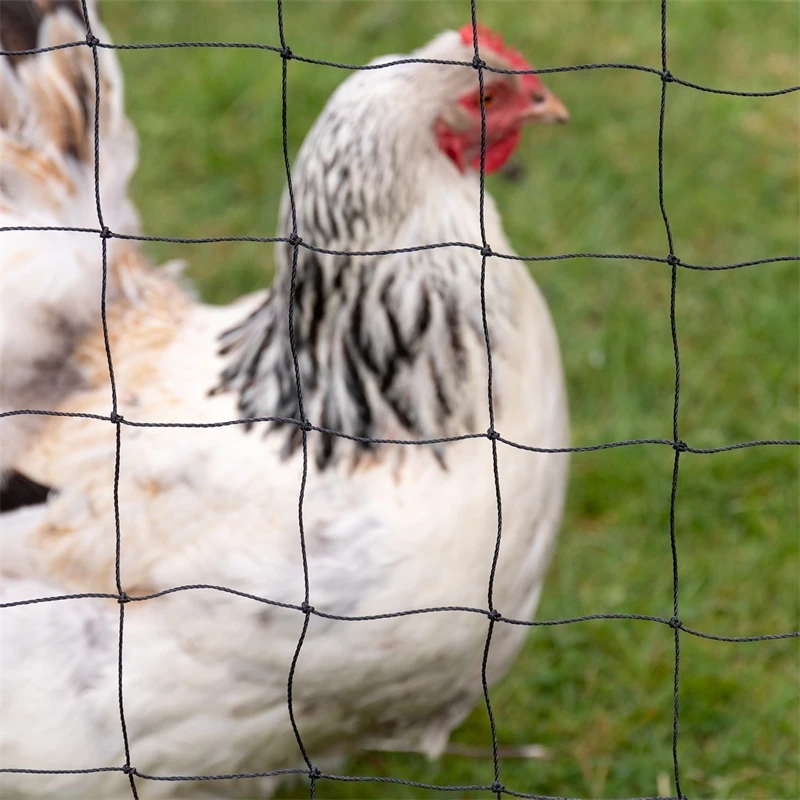 Geflügel-Schutznetz, Teich-Netz, Volieren Netz, Greifvogelschutz-Netz, 5x5m, Schwarz 14 Geflügel-Schutznetz, Teich-Netz, Volieren Netz, Greifvogelschutz-Netz, 5x5m, Schwarz – Bild 12