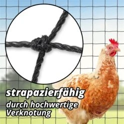 Geflügel-Schutznetz, Teich-Netz, Volieren Netz, Greifvogelschutz-Netz, 10x5m, Schwarz -Optimal Ranchzaun Geschäft 31532 04 10x5m voss farming huehnerschutznetz gegen greifvoegel volierennetz