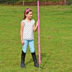 20x VOSS.farming "style" Weidezaunpfähle, 156 Cm, Doppeltritt, Pink 17 20x VOSS.farming "style" Weidezaunpfähle, 156 Cm, Doppeltritt, Pink -Optimal Ranchzaun Geschäft 42357 VOSS.farming Weidezaunpfahl Pink 156cm