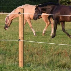 VOSS.farming Weidezaunseil 500m, Ø 6mm, 6x0,25 HPC® Powerleiter, XL-Rolle, Pferdezaun, Weiß -Optimal Ranchzaun Geschäft 4260042601 VOSS.farming ideal fuer elektrische Pferdezaeune