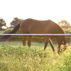 VOSS.farming Weidezaunseil 500m, Ø 6mm, 6x0,25 HPC® Powerleiter, XL-Rolle, Pferdezaun, Weiß -Optimal Ranchzaun Geschäft 4260042601 Weidseil Elektrozaunkordel HPC Pferdezaun 1