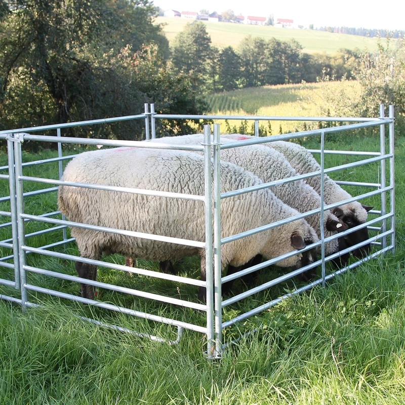 Steckfix-Horde, Schafpanel, 2,75 M X 0,92 M, Verzinkt 4 Steckfix-Horde, Schafpanel, 2,75 M X 0,92 M, Verzinkt – Bild 2