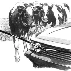 VOSS.farming Elektro-Viehschranke 5,00 M - Set -Optimal Ranchzaun Geschäft 44337 7 1