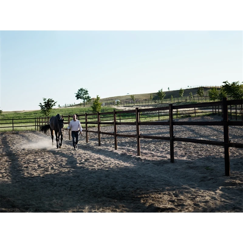 Octo Paddock Komplettsystem 60 X 20m 7 Octo Paddock Komplettsystem 60 X 20m – Bild 5