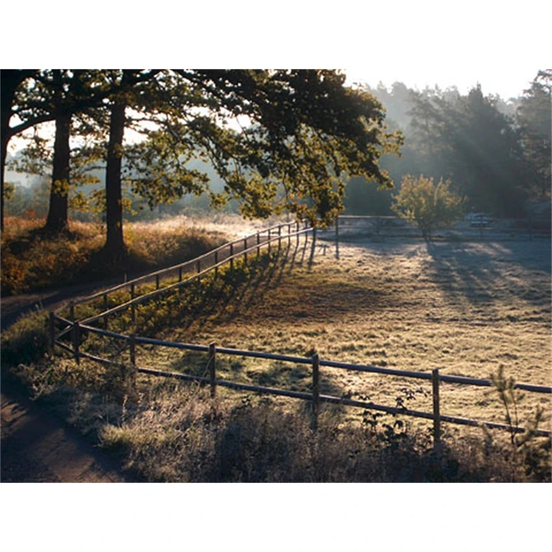 Octo Paddock Komplettsystem 60 X 20m 4 Octo Paddock Komplettsystem 60 X 20m – Bild 2