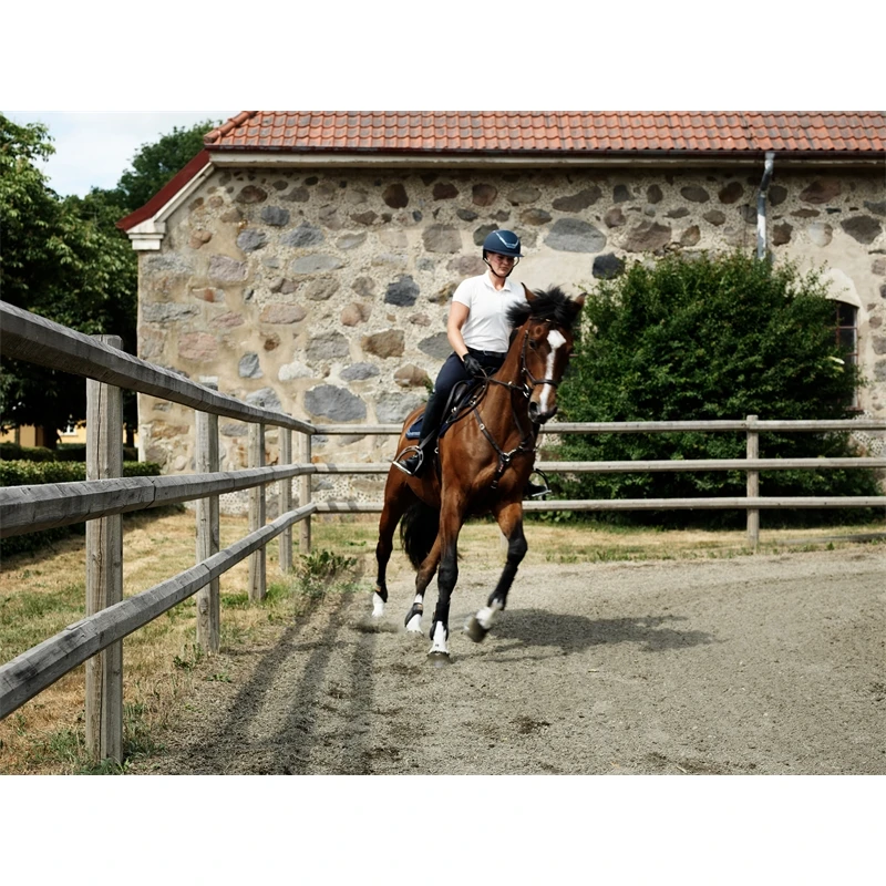 Octo Paddock Komplettsystem 60 X 20m 8 Octo Paddock Komplettsystem 60 X 20m – Bild 6