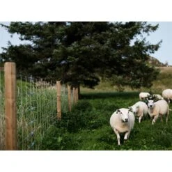 10x Octo-Wood Festzaunpfahl 200cm X 80mm 16 10x Octo-Wood Festzaunpfahl 200cm X 80mm -Optimal Ranchzaun Geschäft 44833 octowood festzaunpfahl 3