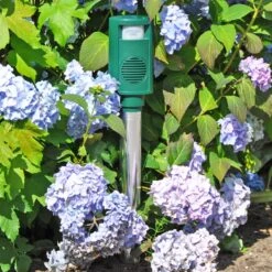 Doppelpack: VOSS.sonic 3100, Ultraschall Tiervertreiber Katzenschreck, Hundeschreck 24 Doppelpack: VOSS.sonic 3100, Ultraschall Tiervertreiber Katzenschreck, Hundeschreck -Optimal Ranchzaun Geschäft 45035 Garten Beet Gemuesebeet vor Tieren schuetzen abwehren VOSS.sonic 3100 1