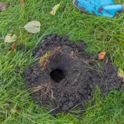 3x VOSS.garden Wühlmausfalle VoleEX, Wühlmausabwehr -Optimal Ranchzaun Geschäft 45227 voss garden voleex wuehlmausfalle praxisbild 4