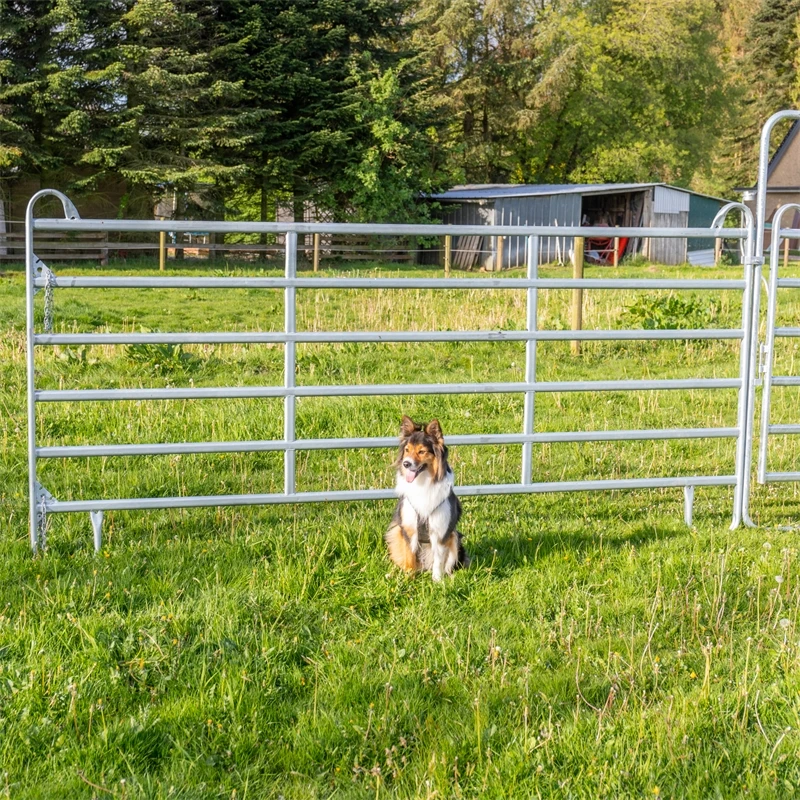VOSS.farming Weidepanel 2,40 M Länge, 1,70 M Höhe 5 VOSS.farming Weidepanel 2,40 M Länge, 1,70 M Höhe – Bild 3