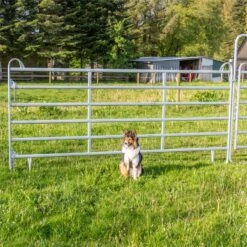 VOSS.farming Weidepanel 4,00 M Länge, 1,70 M Höhe -Optimal Ranchzaun Geschäft 45430 31 32 voss farming weidepanel praxis 1 3