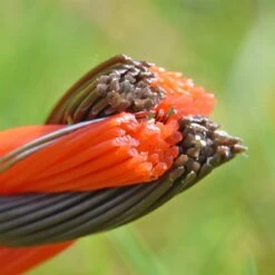 VOSS.farming Weidezaunseil 400 M, 3x0,3 Kupfer + 3x0,3 Niro, Orange/braun 20 VOSS.farming Weidezaunseil 400 M, 3x0,3 Kupfer + 3x0,3 Niro, Orange/braun -Optimal Ranchzaun Geschäft 45584 VOSS.farming Profiline Weidezaunseil Querschnitt braun orange