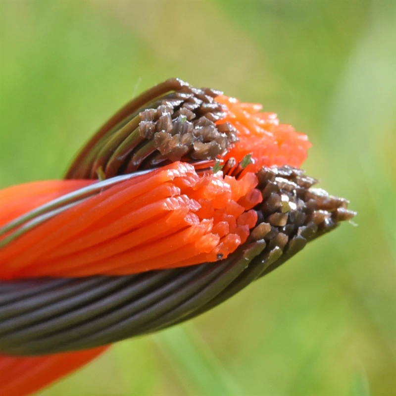 VOSS.farming Weidezaunseil 400 M, 3x0,3 Kupfer + 3x0,3 Niro, Orange/braun 9 VOSS.farming Weidezaunseil 400 M, 3x0,3 Kupfer + 3x0,3 Niro, Orange/braun – Bild 7