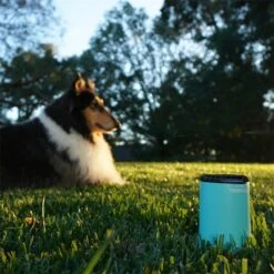 Thermacell Halo Tischgerät Mückenabwehr Protect, Blau 19 Thermacell Halo Tischgerät Mückenabwehr Protect, Blau -Optimal Ranchzaun Geschäft 500409 thermacell halo mini steckmueckenschutz blau 6