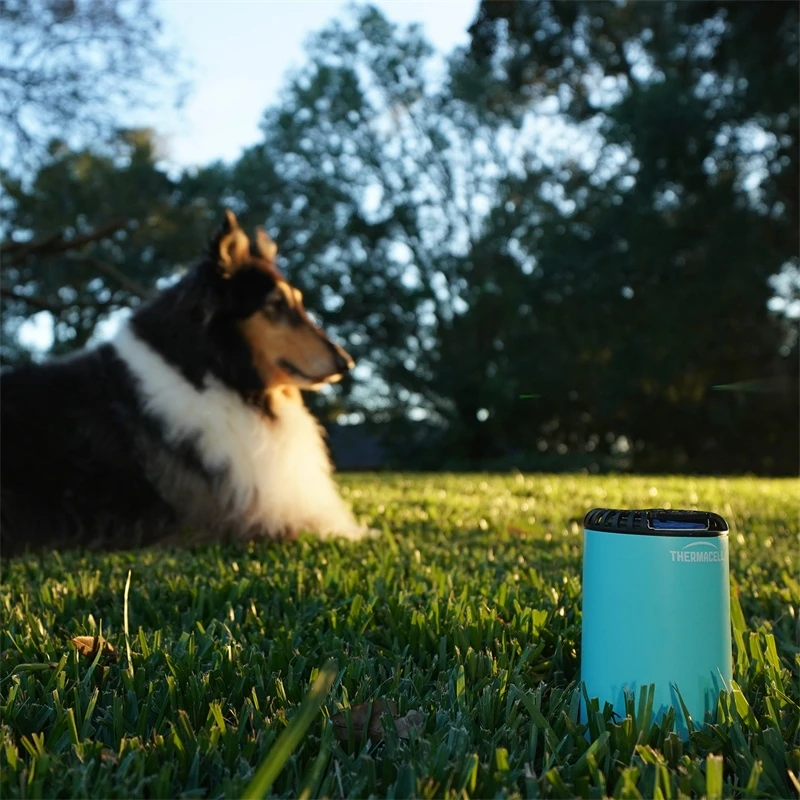 Thermacell Halo Tischgerät Mückenabwehr Protect, Blau 8 Thermacell Halo Tischgerät Mückenabwehr Protect, Blau – Bild 6