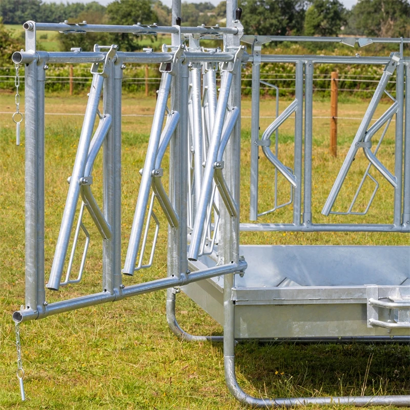 VOSS.farming Viereckraufe, Heuraufe, Rundballenraufe Mit Dach Und Fressgitter, Höhenverstellbar 9 VOSS.farming Viereckraufe, Heuraufe, Rundballenraufe Mit Dach Und Fressgitter, Höhenverstellbar – Bild 7