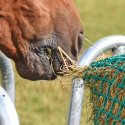 VOSS.farming Futtersparnetz "rund" Für Heu-Rundballen - Ø 3,50m, Maschenweite 4,5x4,5cm 20 VOSS.farming Futtersparnetz "rund" Für Heu-Rundballen - Ø 3,50m, Maschenweite 4,5x4,5cm -Optimal Ranchzaun Geschäft 504590 voss farming rundes futtersparnetz fuer ponys pferde