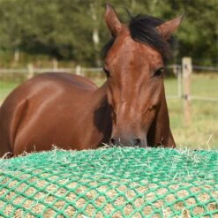 VOSS.farming Futtersparnetz "rund" Für Heu-Rundballen - Ø 2,50m, Maschenweite 4,5x4,5cm 21 VOSS.farming Futtersparnetz "rund" Für Heu-Rundballen - Ø 2,50m, Maschenweite 4,5x4,5cm -Optimal Ranchzaun Geschäft 504590 voss farming rundes futtersparnetz fuer ponys pferde 250cm 350cm 1