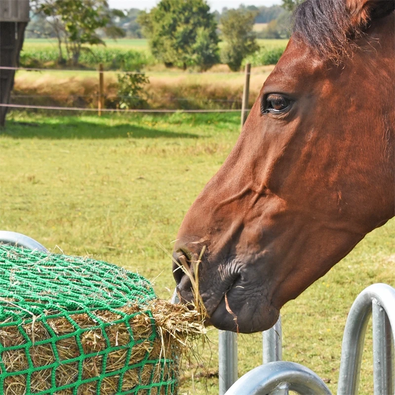 VOSS.farming Futtersparnetz "rund" Für Heu-Rundballen - Ø 3,50m, Maschenweite 4,5x4,5cm 9 VOSS.farming Futtersparnetz "rund" Für Heu-Rundballen - Ø 3,50m, Maschenweite 4,5x4,5cm – Bild 7